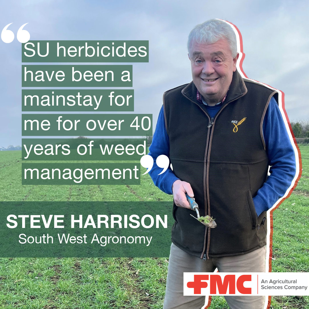 Steve Harrison