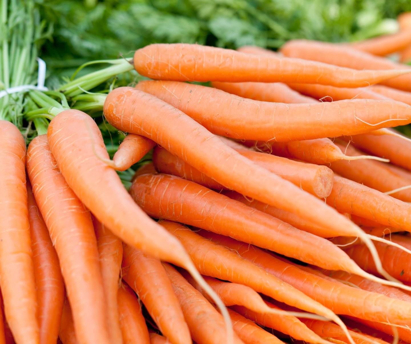Carrot