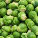 Group of brussel sprouts
