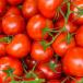 Close up of a group of tomatoes